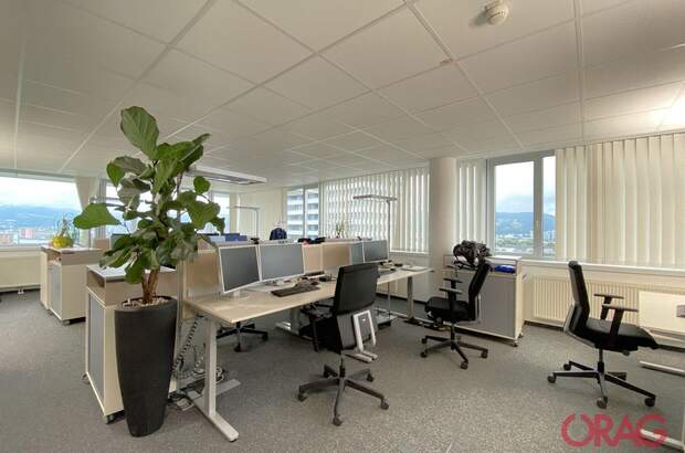 Gewerbeobjekt mieten in 4040 Linz (Bild 4)