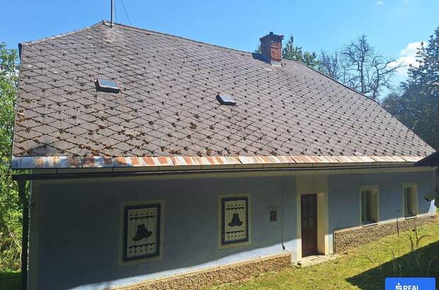 Gewerbeobjekt kaufen in 9433 St. Andrä (Bild 3)