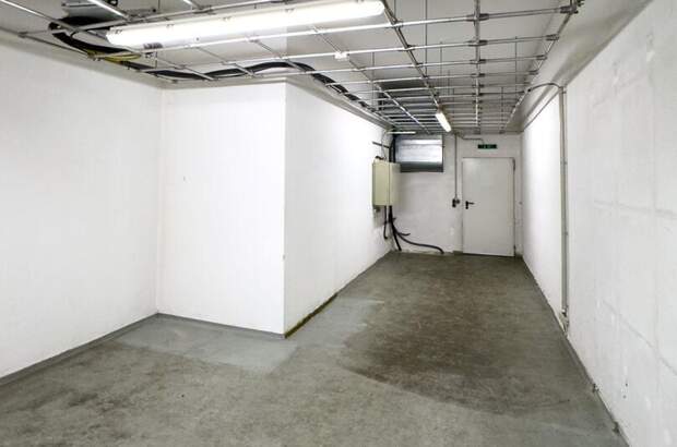 Gewerbeobjekt mieten in 5400 Hallein (Bild 2)