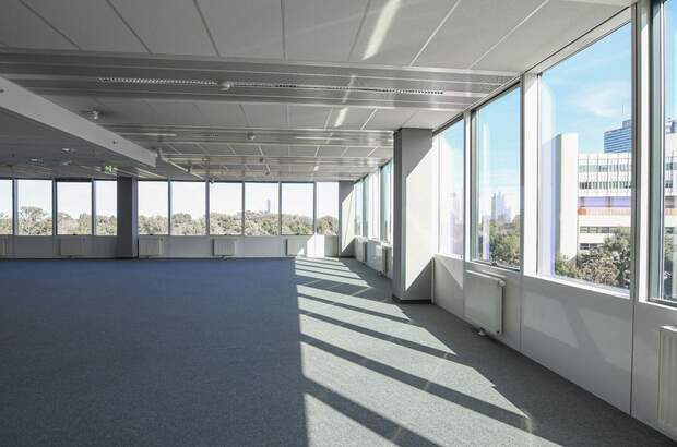 Gewerbeobjekt mieten in 1220 Wien (Bild 2)