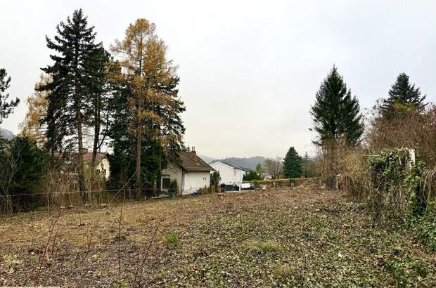 Grundstück kaufen in 2534 Alland (Bild 2)