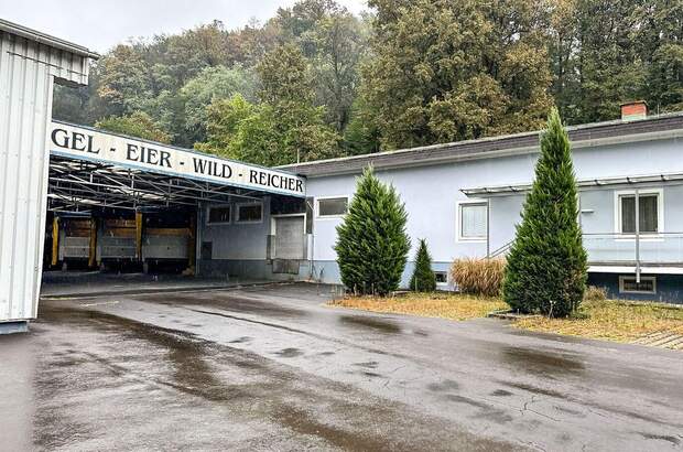 Gewerbeobjekt mieten in 8353 Kapfenstein (Bild 3)