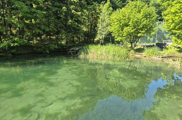 Mehrfamilienhaus kaufen in 3341 Ybbsitz (Bild 1)