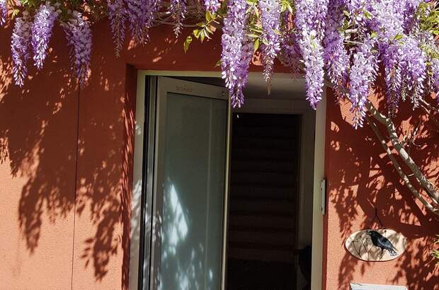 Wohnung mit Balkon kaufen in 8044 Graz (Bild 4)