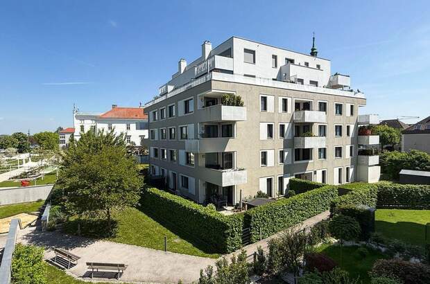 Wohnung mieten in 3430 Tulln (Bild 1)