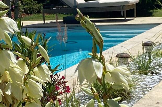 Haus mit Garten kaufen in 8051 Thal (Bild 3)