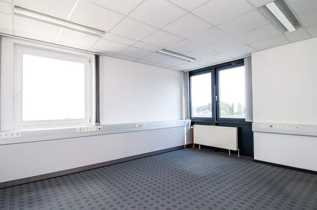 Gewerbeobjekt mieten in 4600 Thalheim (Bild 3)