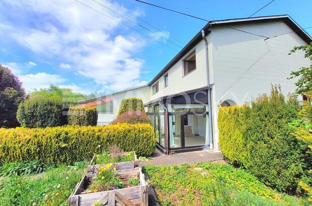 Mehrfamilienhaus kaufen in 4614 Marchtrenk (Bild 1)