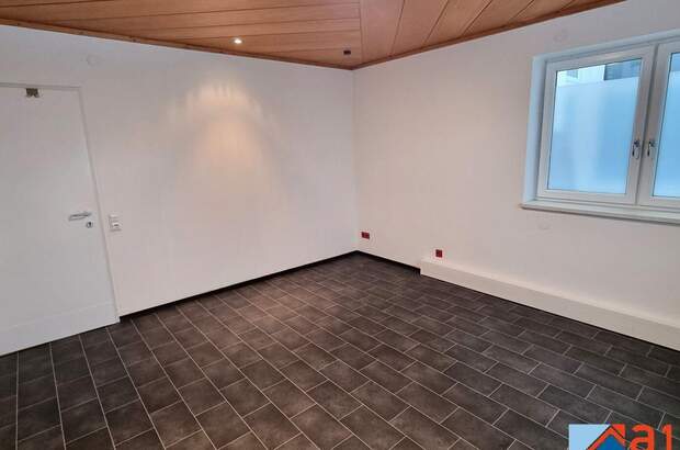 Gewerbeobjekt mieten in 4050 Traun (Bild 1)