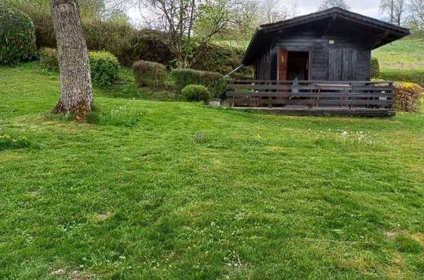 Grundstück kaufen in 4902 Wolfsegg (Bild 1)