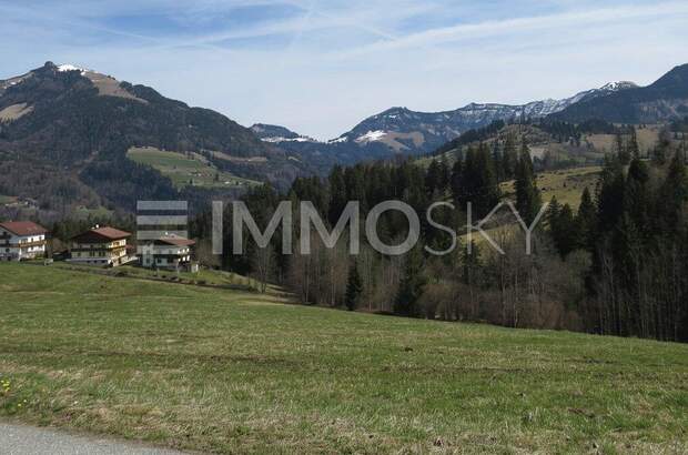 Grundstück kaufen in 5423 St. Koloman (Bild 1)