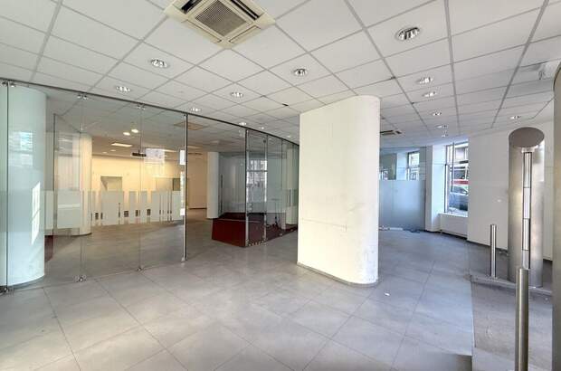 Gewerbeobjekt mieten in 1100 Wien (Bild 3)