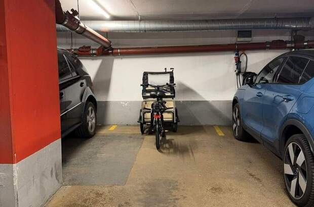 Halle / Lager / Produktion mieten in 1220 Wien (Bild 1)