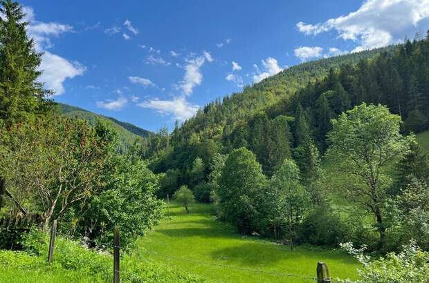 Haus kaufen in 8114 Großstübing (Bild 1)