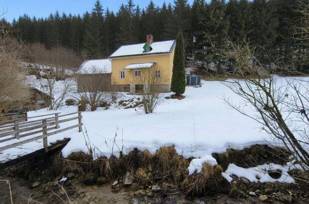 Haus mieten in 8692 Neuberg (Bild 1)