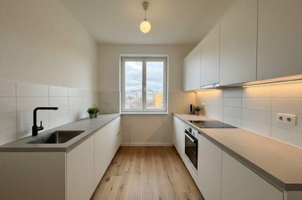 Terrassenwohnung kaufen in 1200 Wien (Bild 4)