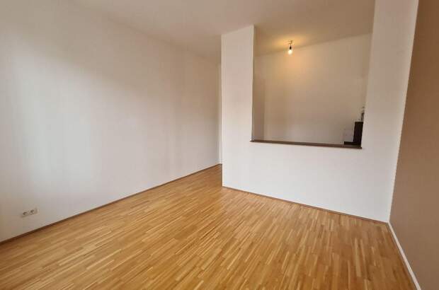 Altbauwohnung mieten in 1120 Wien (Bild 3)