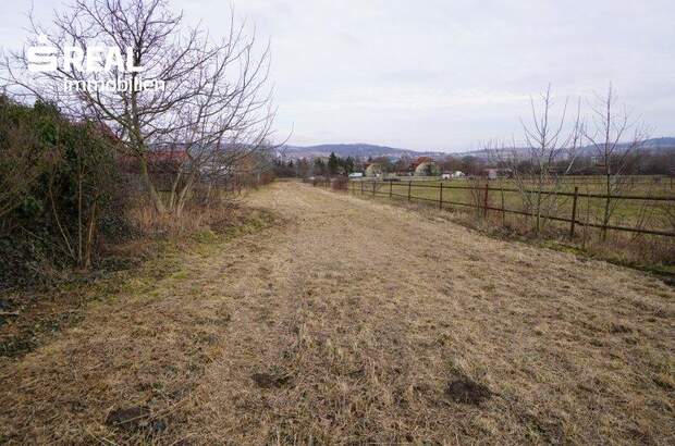 Grundstück kaufen in 2100 Stetten (Bild 4)