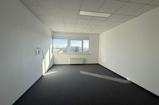 Gewerbeobjekt mieten in 1220 Wien (Bild 3)