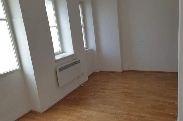 Gewerbeobjekt mieten in 8700 Leoben (Bild 2)