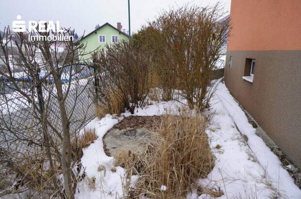 Haus kaufen in 3762 Ludweis (Bild 5)