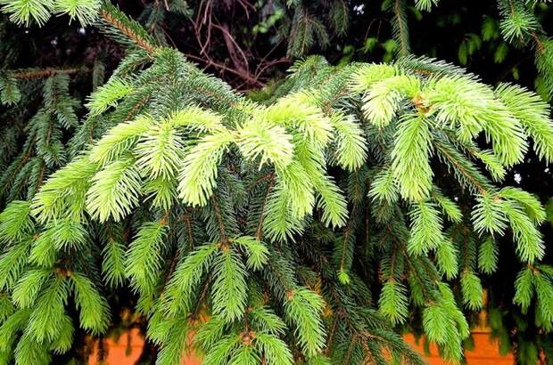 Wohnung kaufen in 8020 Graz (Bild 3)