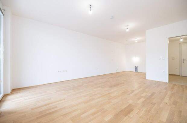 Terrassenwohnung mieten in 2700 Wr. Neustadt (Bild 2)