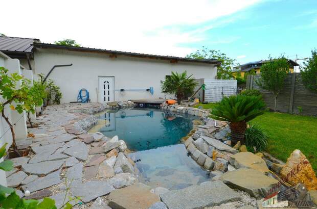 Mehrfamilienhaus kaufen in 7141 Podersdorf (Bild 3)