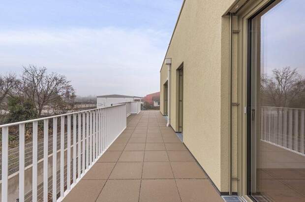 Terrassenwohnung kaufen in 2540 Bad Vöslau (Bild 4)