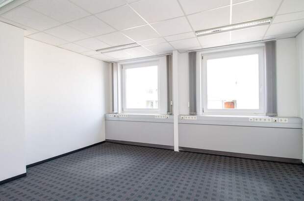 Gewerbeobjekt mieten in 4600 Thalheim (Bild 2)