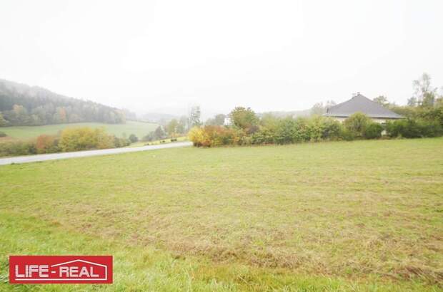 Grundstück kaufen in 4150 Berg
