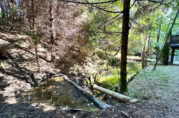 Gewerbeobjekt kaufen in 8462 Gamlitz (Bild 5)