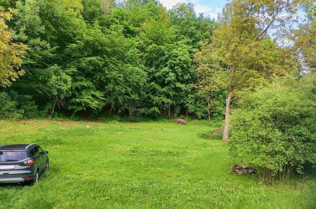 Gewerbeobjekt kaufen in 8046 Graz (Bild 3)