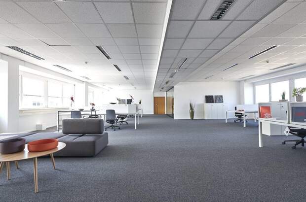 Gewerbeobjekt mieten in 1230 Wien (Bild 2)