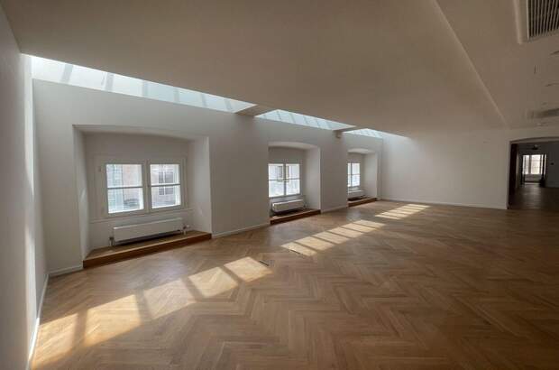 Gewerbeobjekt mieten in 1010 Wien (Bild 2)