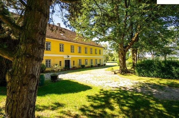 Haus mit Garten kaufen in 3361 Aschbach (Bild 3)