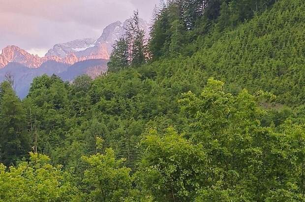 Gewerbeobjekt kaufen in 8933 Sankt Gallen (Bild 1)