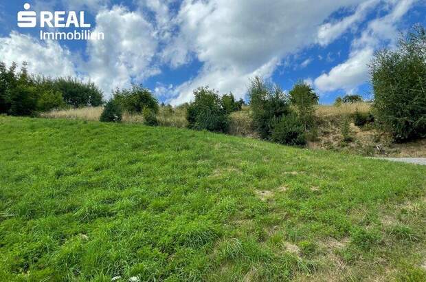 Grundstück kaufen in 8541 Bad Schwanberg (Bild 1)