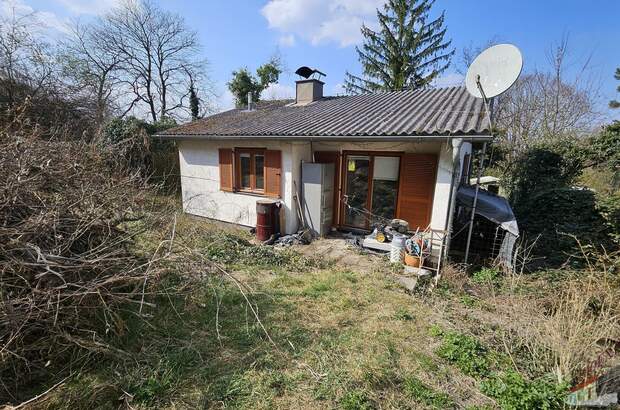 Grundstück kaufen in 3424 Wolfpassing (Bild 1)