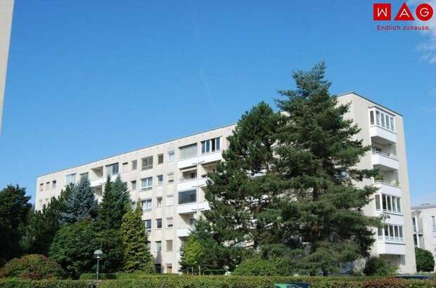 Mietwohnung in 4020 Linz (Bild 1)