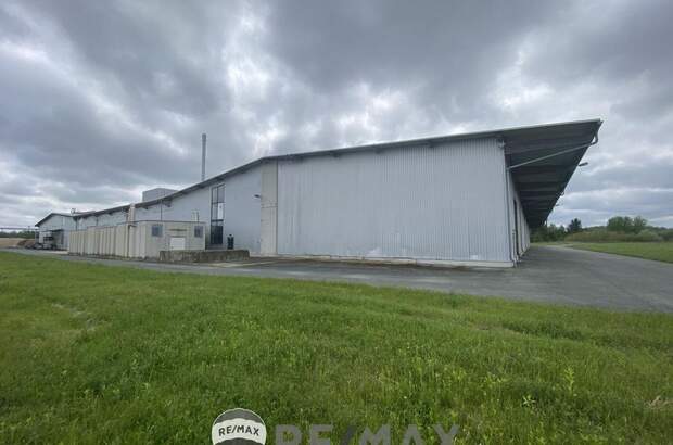 Gewerbeobjekt mieten in 7561 Heiligenkreuz (Bild 4)