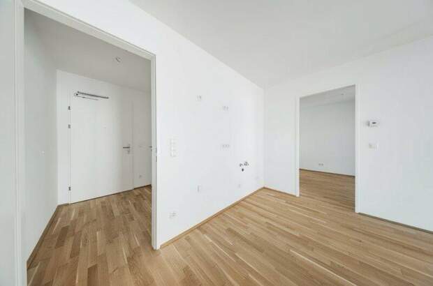 Terrassenwohnung kaufen in 1210 Wien (Bild 3)