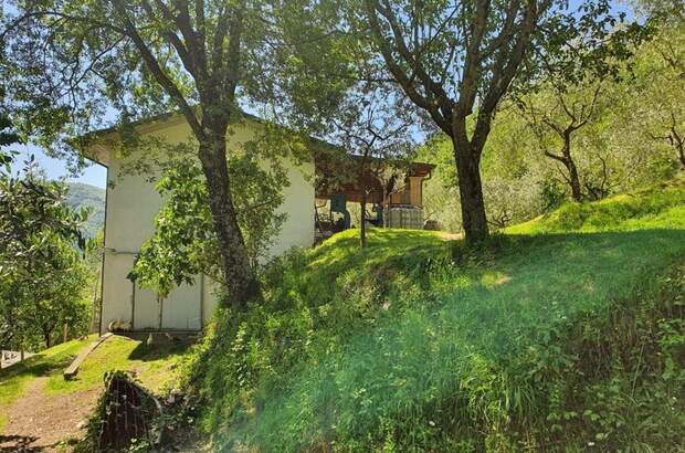 Haus kaufen in 54016 Ripola (Bild 1)