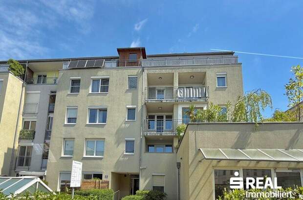 Terrassenwohnung kaufen in 4600 Wels (Bild 1)