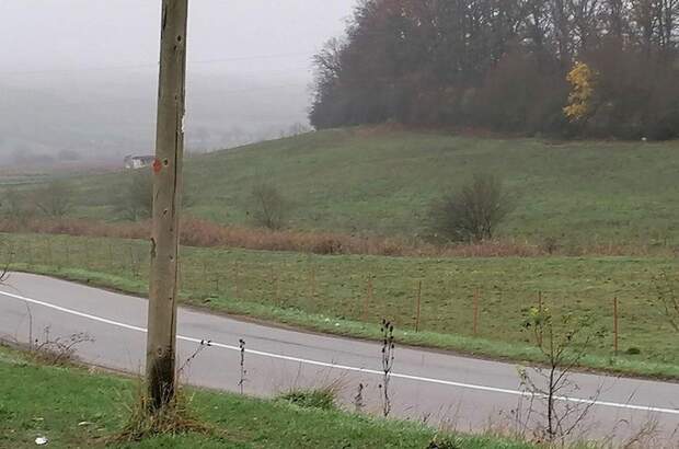 Gewerbeobjekt kaufen in 407590 Viisoara (Bild 2)