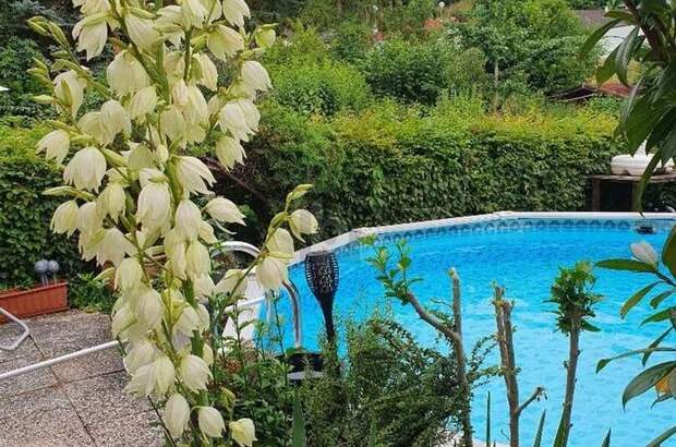 Reihenhaus kaufen in 3500 Krems (Bild 2)