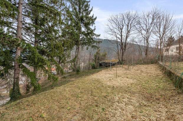 Haus kaufen in 2640 Gloggnitz (Bild 5)