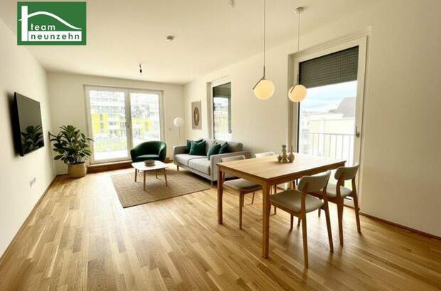 Terrassenwohnung mieten in 1220 Wien (Bild 2)