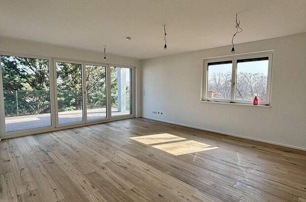 Terrassenwohnung mieten in 1190 Wien (Bild 1)