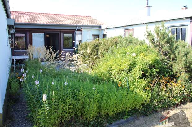 Einfamilienhaus kaufen in 7035 Steinbrunn (Bild 3)